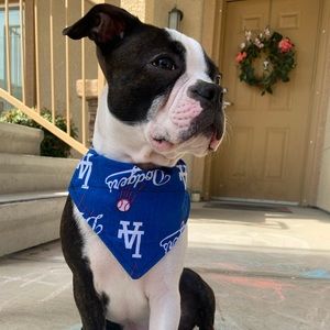 Meet your Posher, Wakara